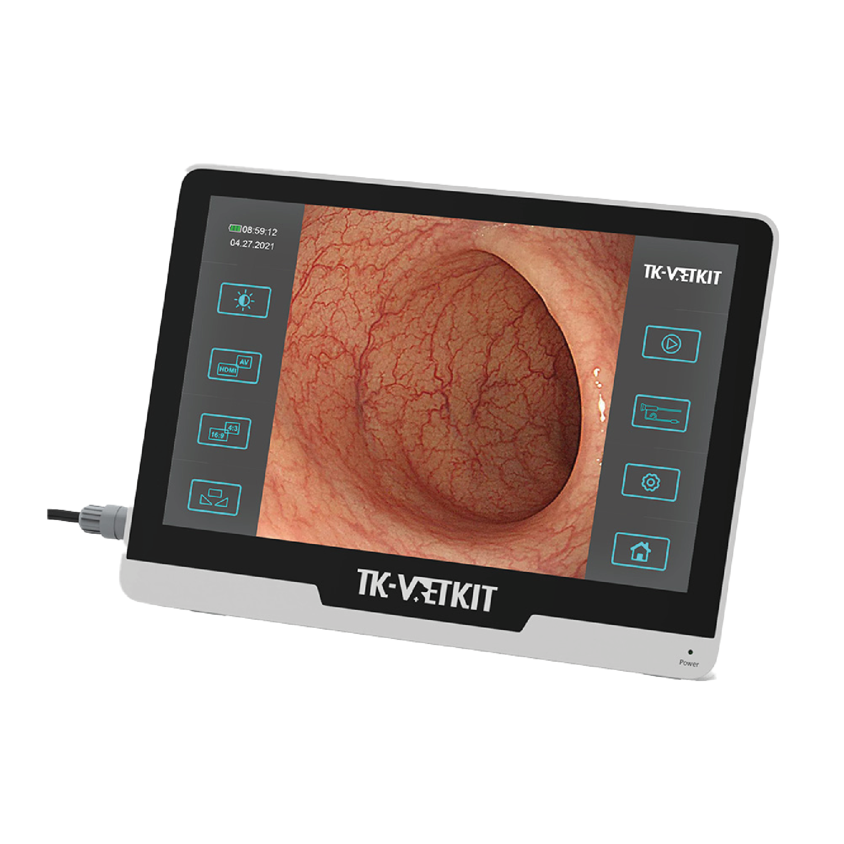 Moniteur pour Endoscope Single Use